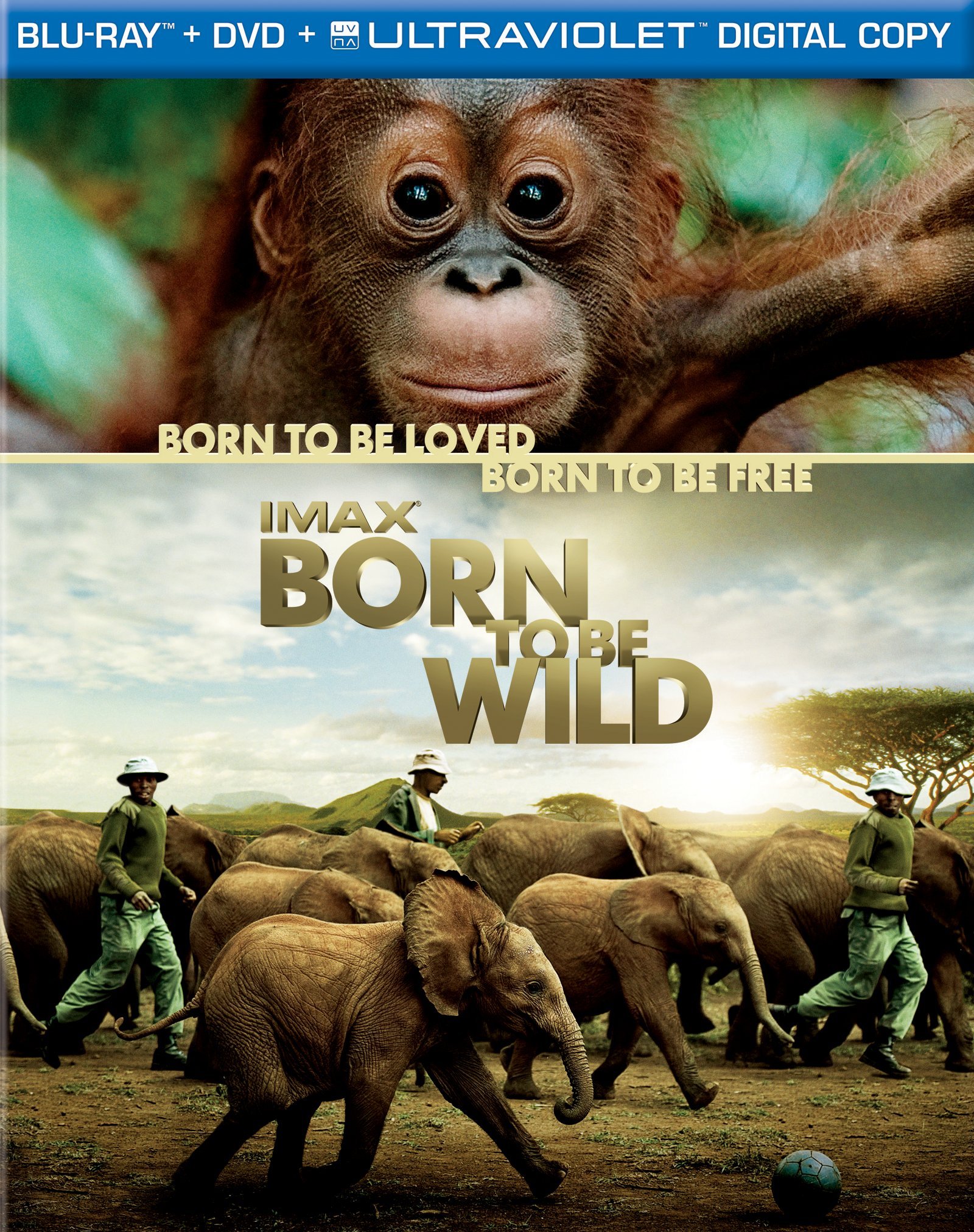 IMAX: Born to be Wild Available on Blu-ray/DVD April 17th
