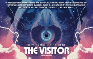 visitor-final