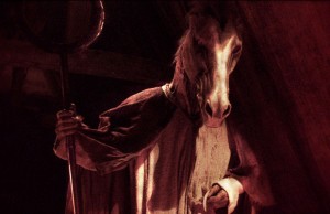 DVD-horsehead