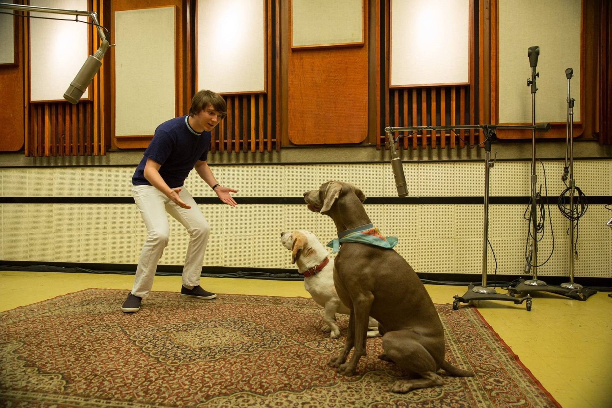 LOVE & MERCY Effectively Depicts the Bizarre Life of Beach Boy Brian Wilson