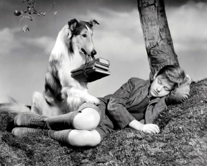 DVD-Lassie