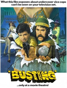 DVD-busting-poster