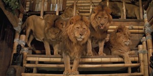 roar-lions-in-house