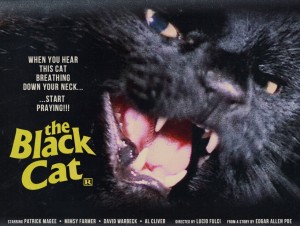 DVD-black-cat