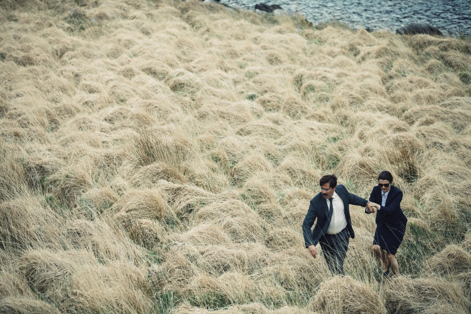 THE LOBSTER is Bizarrely Fascinating and Original