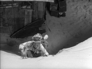 DVD-woman-in-the-dunes