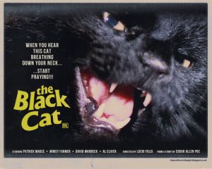 black-cat-poster
