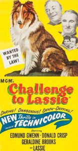 DVD-challenge-to-lassie