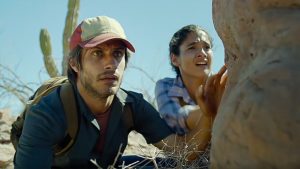 DVD-desierto