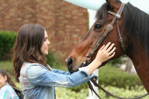 DVD-cowgirls-story