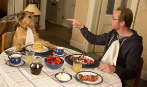 DVD-absolutely-anything-breakfast-with-dog