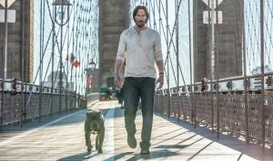 DVD-john-wick-chapter-2-bridge