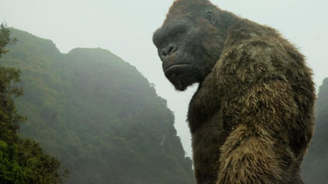 DVD-Kong-pensive