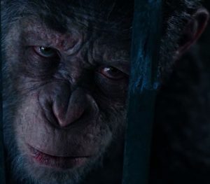 War-planet-of-apes-serkis-close-up