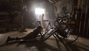 Annabelle-Creation-barn-wheelchair-accident