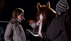 DVD-certain-women-stewart-horse