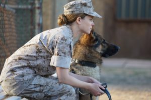 DVD-megan-leavey