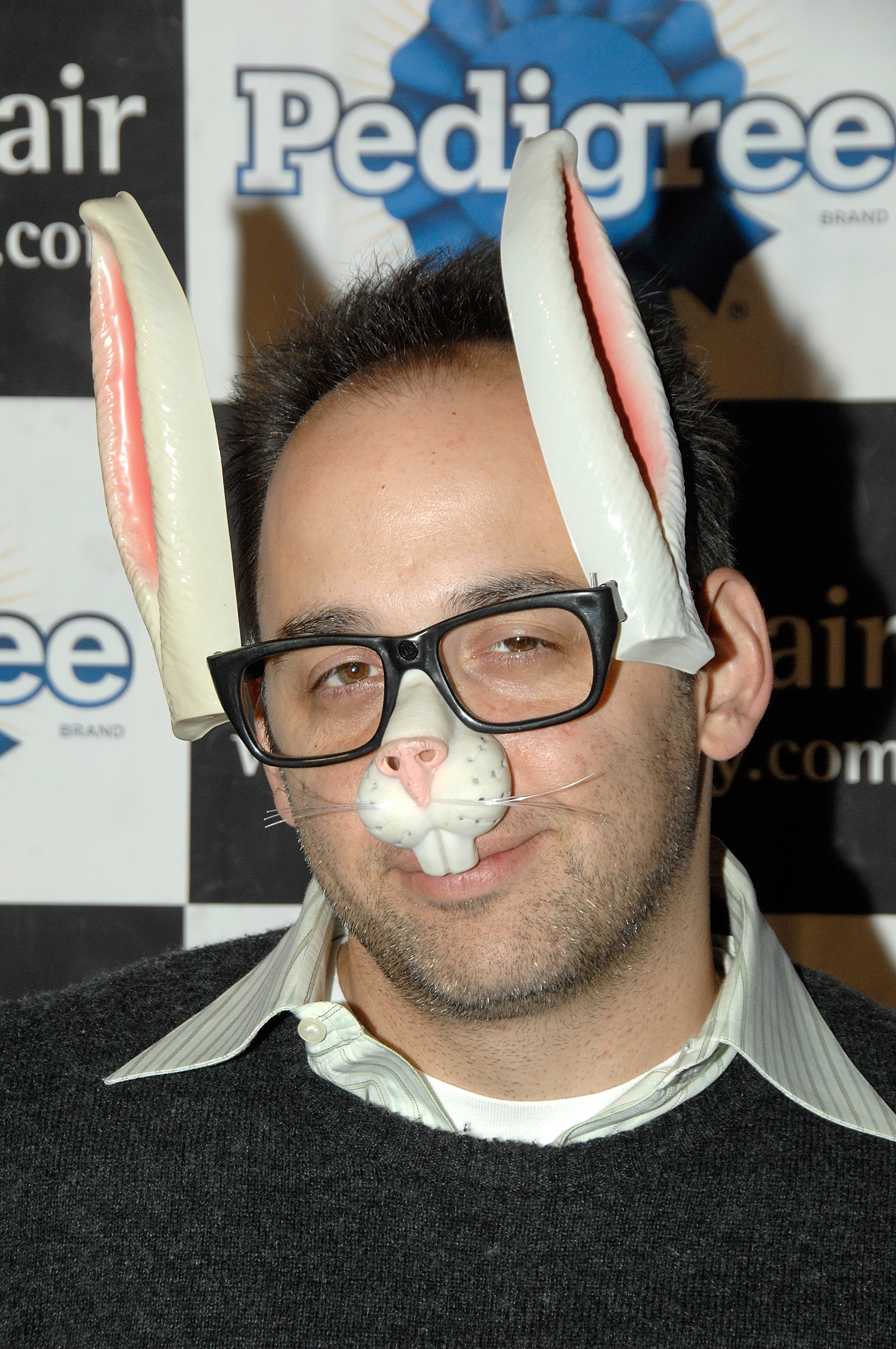 The Life and Work of David Wain
