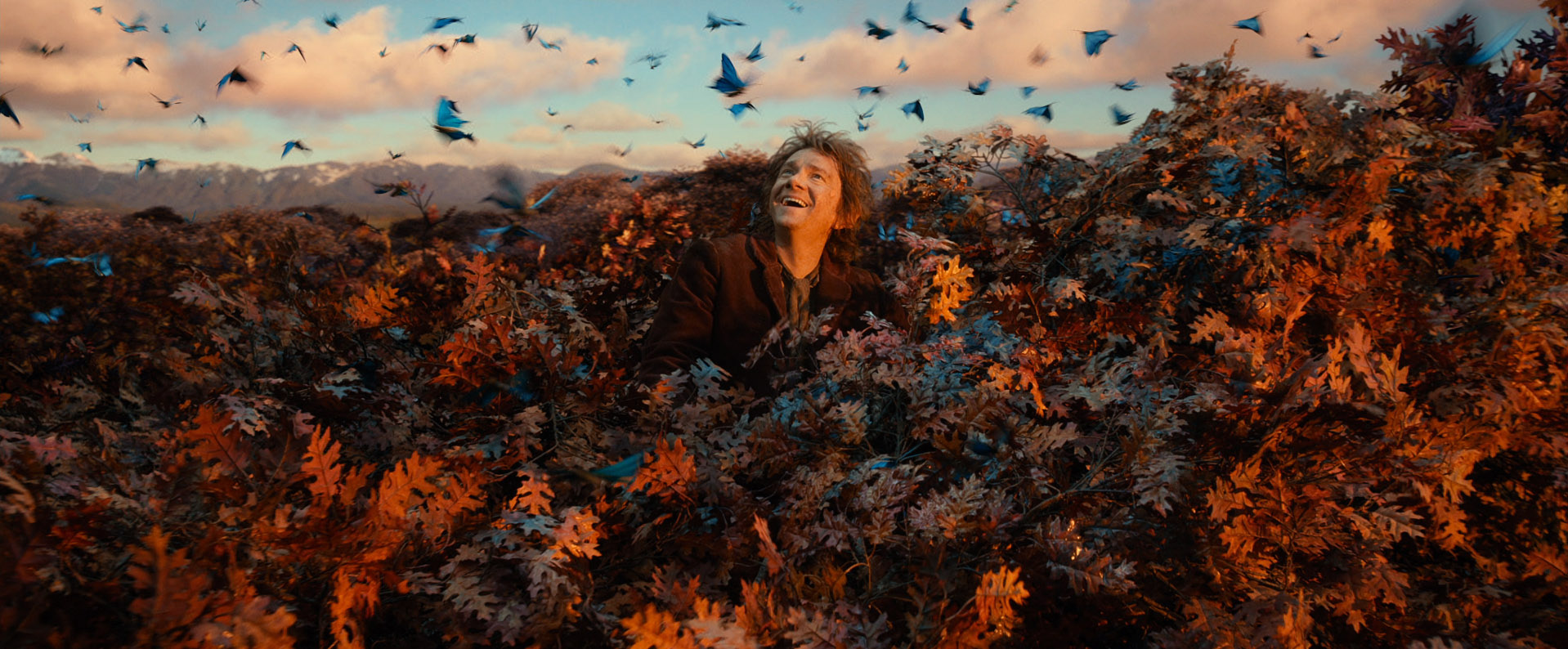 The Hobbit: The Desolation of Smaug Review