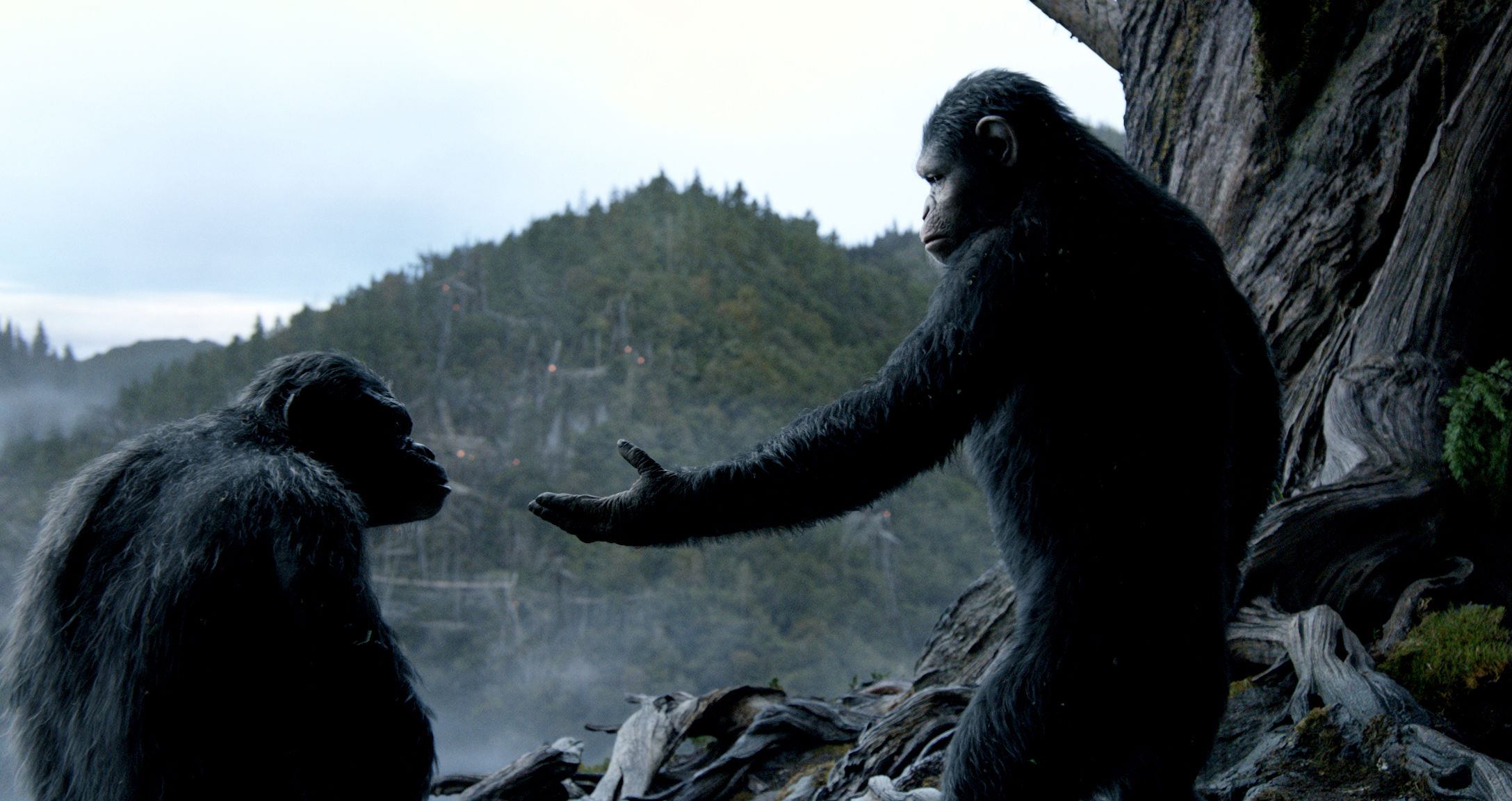 DAWN OF THE PLANET OF THE APES Delivers More than Simple Action and Spectacle