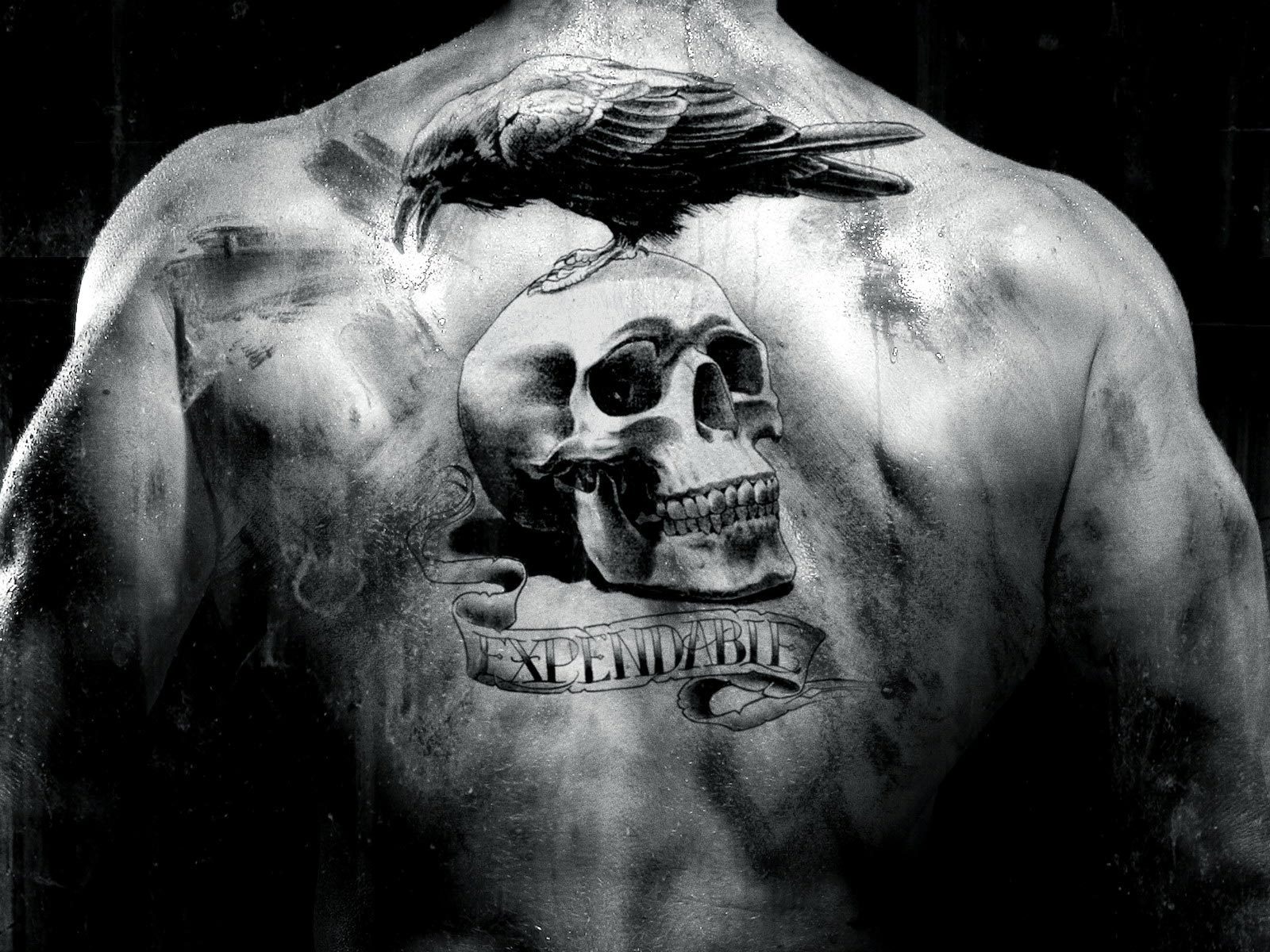 THE EXPENDABLES 3 is Easily Expendable