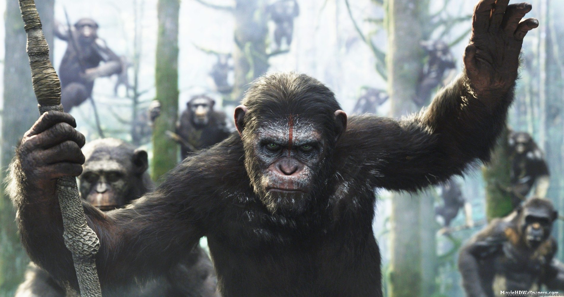 DVD/Blu-ray Roundup for Dec. 2nd
