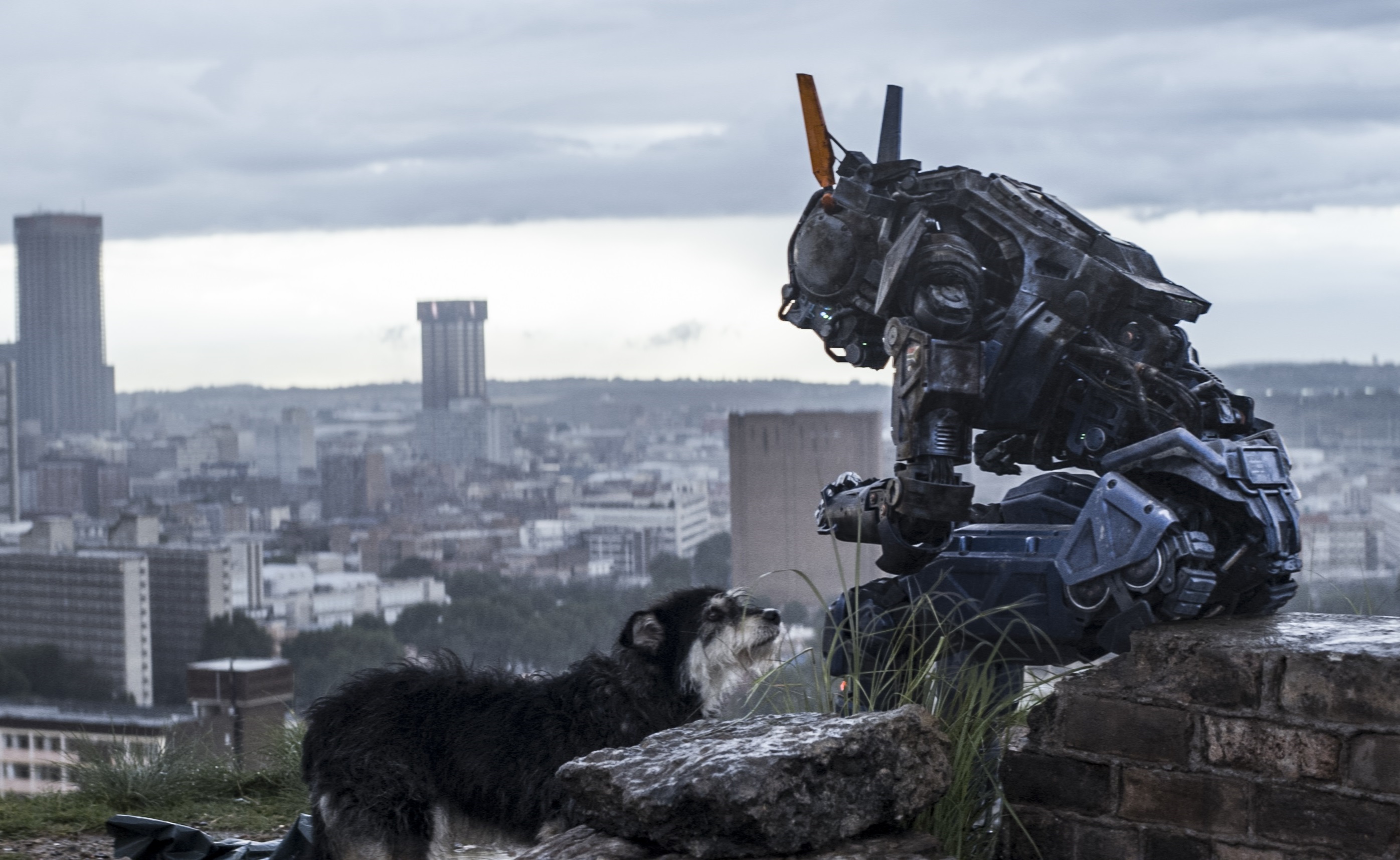 CHAPPIE Experiences A Few Glitches