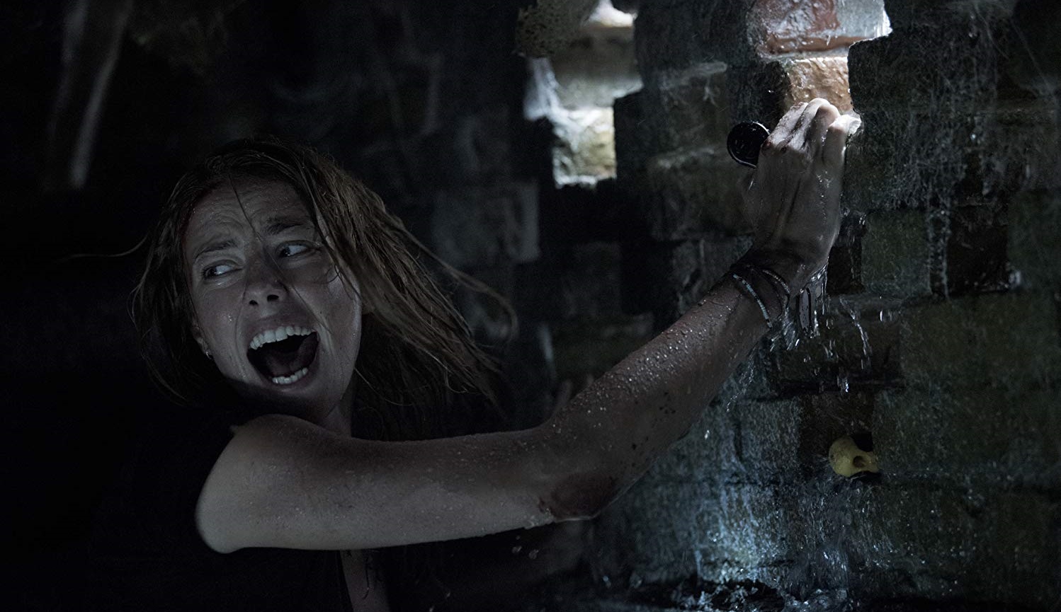 CRAWL Has Plenty of B-Movie Bite