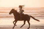 BLACK BEAUTY is Made Exclusively Horse-Adoring Youngsters